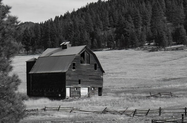 Old abandoned barn set in a pasture surrounded by trees.  Black and white.