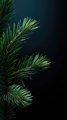 Fototapeta na wymiar Vertical poster with copy space for text. New Year banner with fir branches on blue background. Copyspace. Concept of merry christmas, holiday, celebration. Template for social media. Generative AI