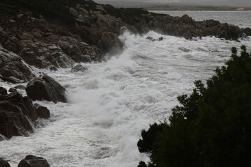 scogli della Sardegna