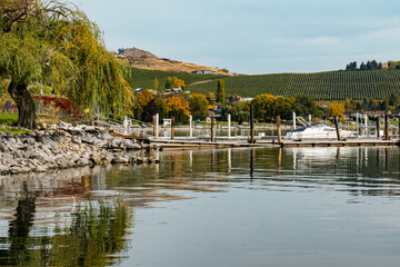 Beautiful park on the Columbia River, enchanced by a boat dock, water reflections, a vineyard and amazing fall colors.
