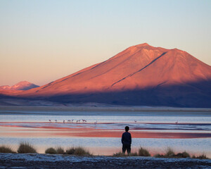 homem caminhando próximo a lagoa com montanha ao fundo e flamingos durante por do sol no salar de ascotán, chile 