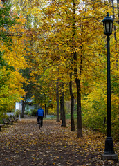 Biking among beautiful autumn colored trees, in Leavenworth, WA.