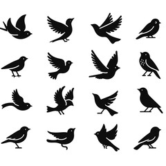 black Birds icon set on white background