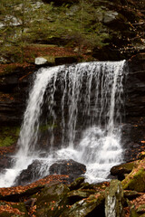 Fototapeta premium waterfall in the forest