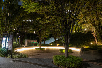 Fototapeta premium けやき広場（東京都千代田区霞が関）