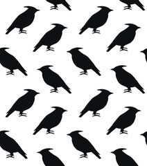 Vector seamless pattern of hand drawn waxwing bird silhouette isolated on white background