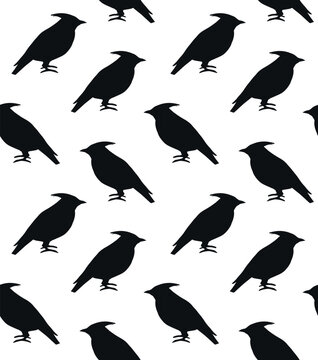 Vector seamless pattern of hand drawn waxwing bird silhouette isolated on white background