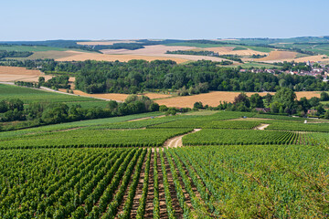 Fototapeta na wymiar overlooking vineyards and town of chablis in valley with cultivated fields in distance 
