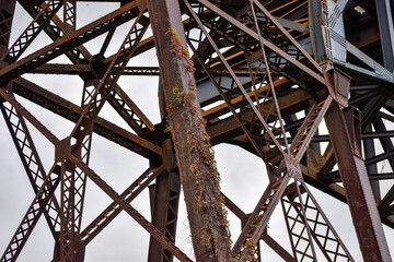 Rusty Railroad Bridge Covered in Ivy