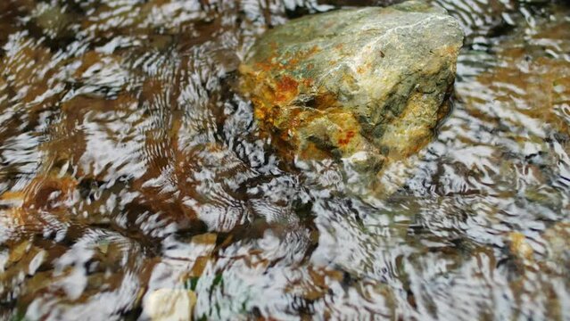 A murmuring stream in a green forest, a healing landscape