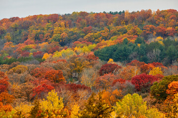 Beautiful fall season foliage turning vivid colors from an aerial view over the St Croix River valley in Wisconsin