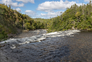 Baker's Brook
 Falls and coniferous forest in Gros Morne Newfoundland under bright blue sky and cumulus clouds