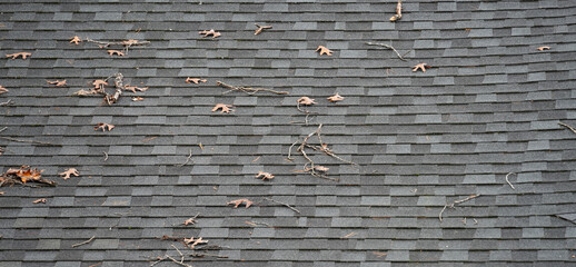 mold and fallen leaves on old roof shingle, roof need renovation