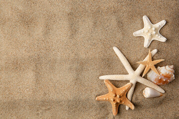Fototapeta na wymiar Beautiful starfishes and sea shells on sand, flat lay. Space for text