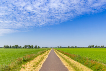 Fototapeta na wymiar Straight road going through the flat landscape of Drenthe, Netherlands