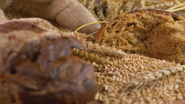 Ripe wheat background after summer harvest. Ecology organic farmland, agricultural activity. Dry crop at country. Ears of grain stem of cereal wheat plant. Dark bread made with flour from rye grain 