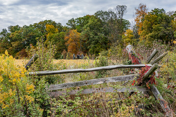 Fall Scene and Cannon, Gettysburg Pennsylvania USA