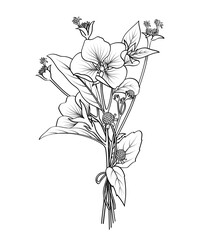 Wild flower bouquet hand drawn illustration