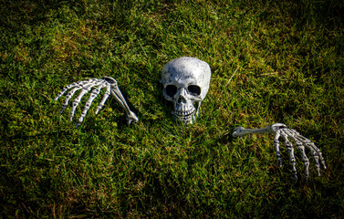 Skeleton with head and arms sticking up out of the grass