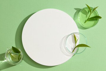 White podium in round shaped arranged with a beaker and petri dishes of green tea leaves and fluid....