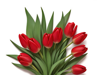 Fototapeta premium bouquet of tulips