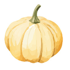 Watercolor Pumpkin. Fresh and healthy vegetables. Farm vegetables. fall autumn Pumpkin element Png.