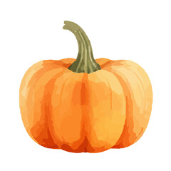 Watercolor Pumpkin. Fresh and healthy vegetables. Farm vegetables. fall autumn Pumpkin element Png.