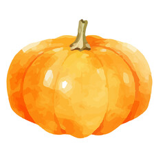 Watercolor Pumpkin. Fresh and healthy vegetables. Farm vegetables. fall autumn Pumpkin element Png.
