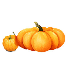 Fototapeta premium Watercolor Pumpkin. Fresh and healthy vegetables. Farm vegetables. fall autumn Pumpkin element Png.