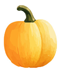 Watercolor Pumpkin. Fresh and healthy vegetables. Farm vegetables. fall autumn Pumpkin element Png.
