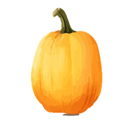 Watercolor Pumpkin. Fresh and healthy vegetables. Farm vegetables. fall autumn Pumpkin element Png.