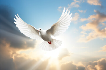 A white dove soars in the sky, symbolizing hope and good tidings.
