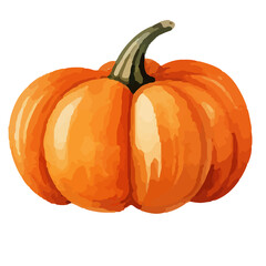 Watercolor Pumpkin. Fresh and healthy vegetables. Farm vegetables. fall autumn Pumpkin element Png.