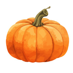 Watercolor Pumpkin. Fresh and healthy vegetables. Farm vegetables. fall autumn Pumpkin element Png.