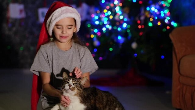 girl petting a cat. Tabby cat plays against the background of a Christmas tree. New Year's decorations and garlands, festive mood. Kitten meows. Multi-colored bokeh, flashing. High quality FullHD