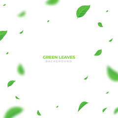 background of falling green leaves - obrazy, fototapety, plakaty