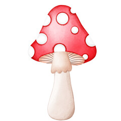 Mushroom