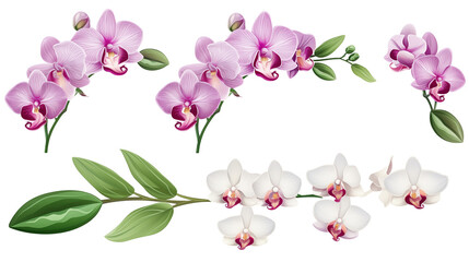 Set of pink orchid flower branch with tropical leaves and elements isolated on transparent background. Generative AI