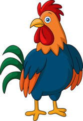 Cute rooster cartoon on white background