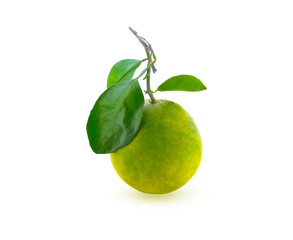sweet orange fruit with green leaf isolated on transparent.