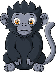 Cute monkey cartoon on white background