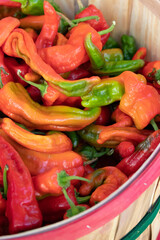 Fresh picked Red Chili Peppers at farmers market in Espanola New Mexico United States