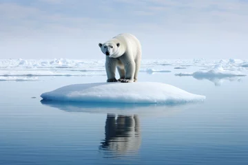 Fototapeten polar bear on melting ice © rushay