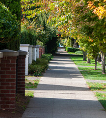 Obraz premium Walk in the street