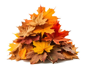 Pile of autumn leaves isolated on transparent background png