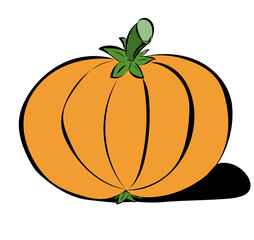 Kürbis 