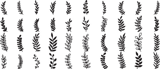 Set of nature leaf vector back and white on white background. © Adisak