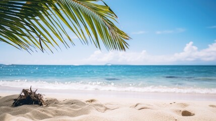 Fototapeta na wymiar Beach Haven White Sandy Shore, Cloudy Sky, Palm Tree, and Rolling Waves