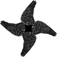 four wings hand drawing vector isolated on background.