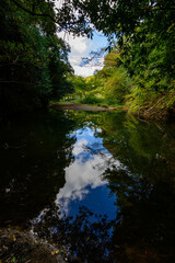 Fototapeta na wymiar 森の中の池。青空と緑が水面に映り込む。六甲山中腹の住吉道にて撮影。